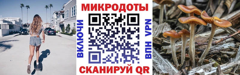 где продают   Новая Усмань  Галлюциногенные грибы GOLDEN TEACHER 